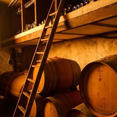 Le Bacchus Apartment Barr