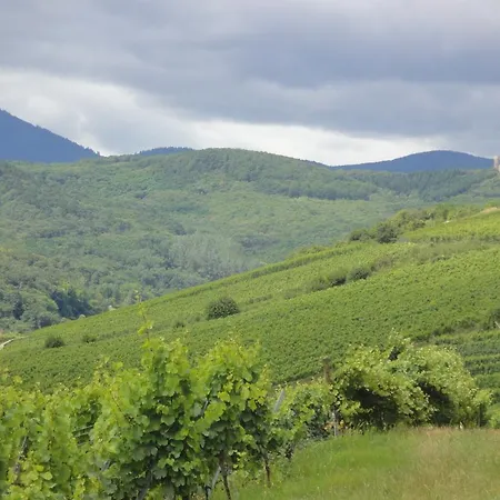 Le Bacchus Apartment *