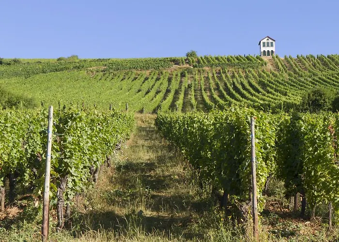 Apartment Le Bacchus *